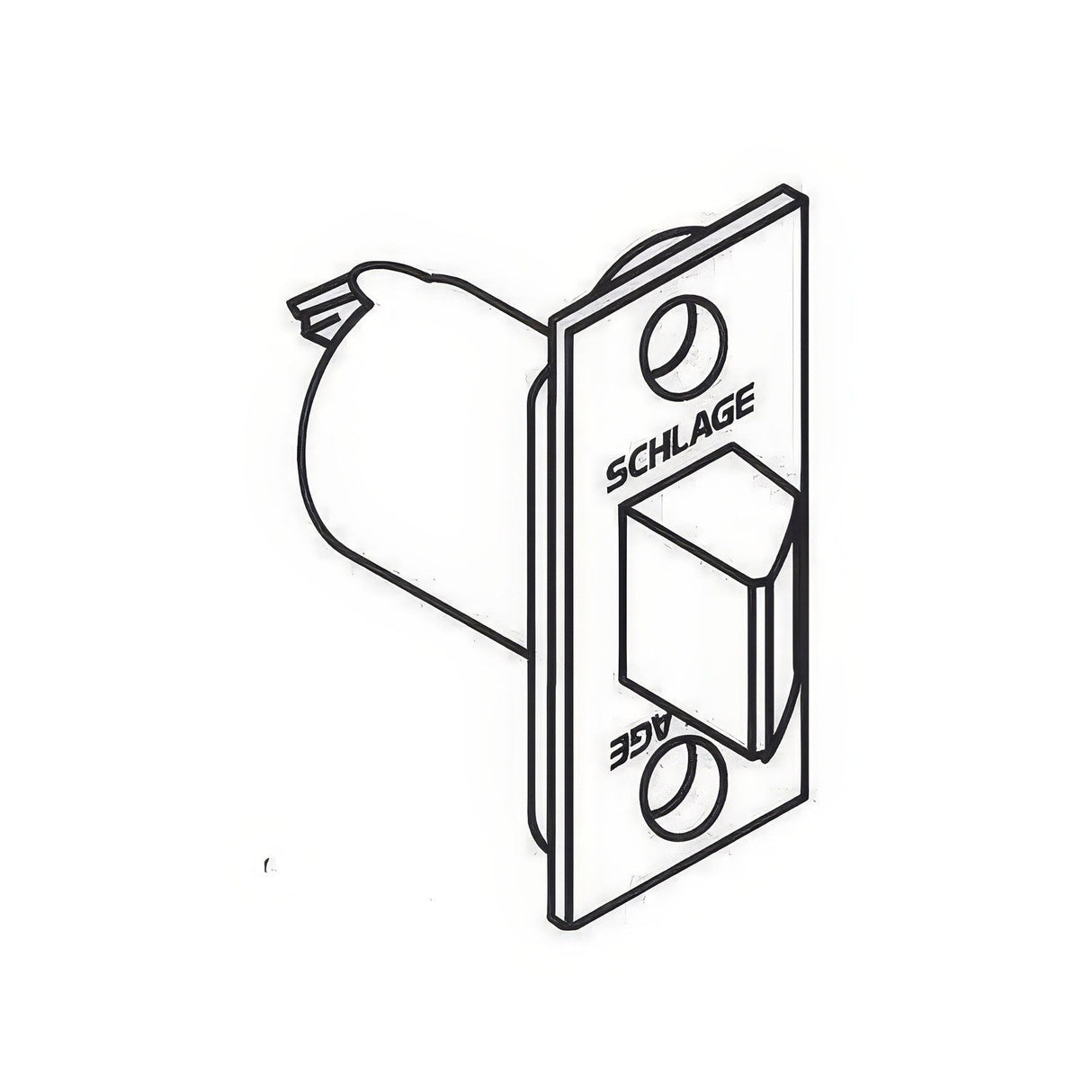 Schlage Commercial 11116605 polished brass spring latch