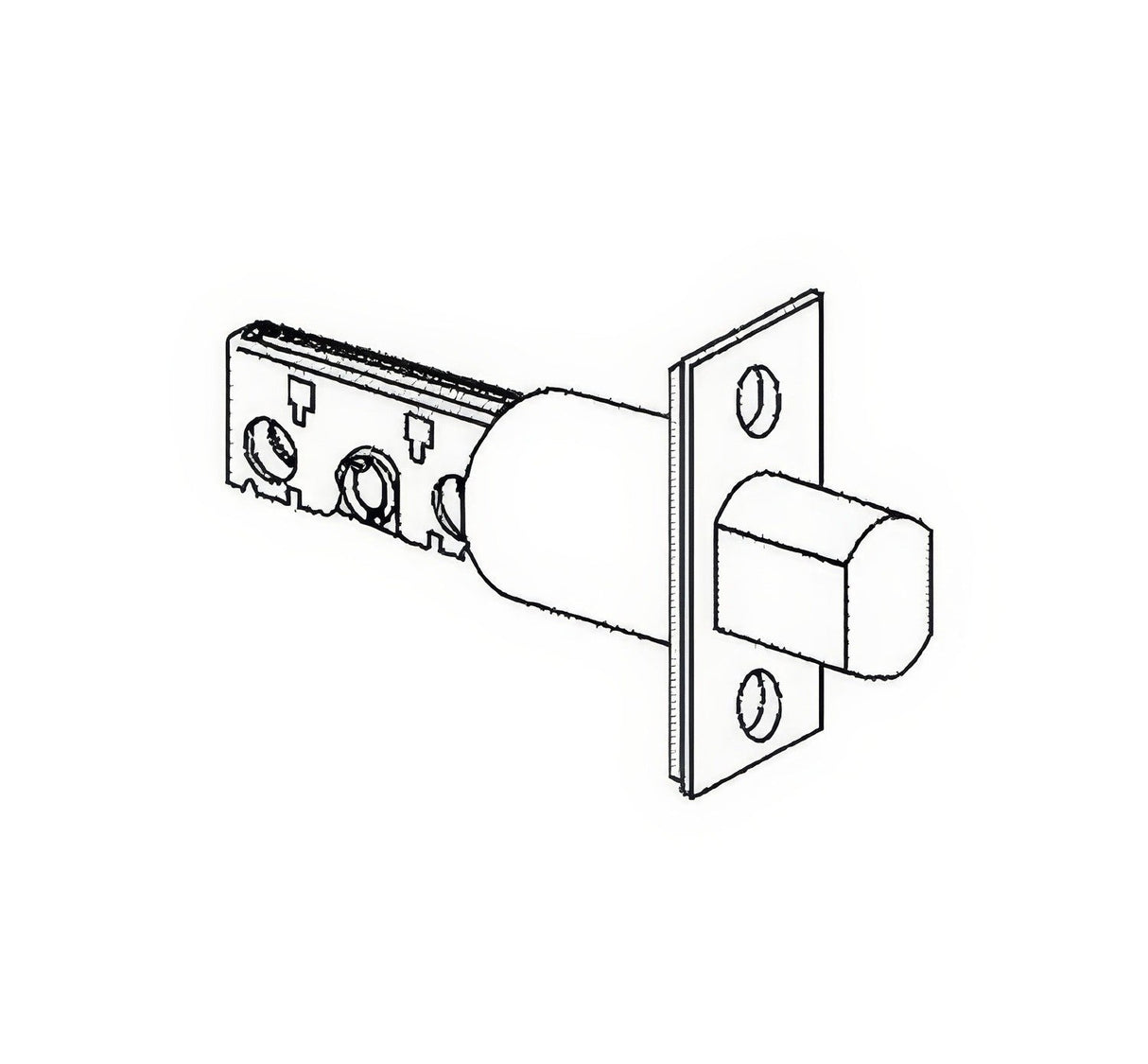 Schlage Commercial 12631605 polished brass deadbolt latch