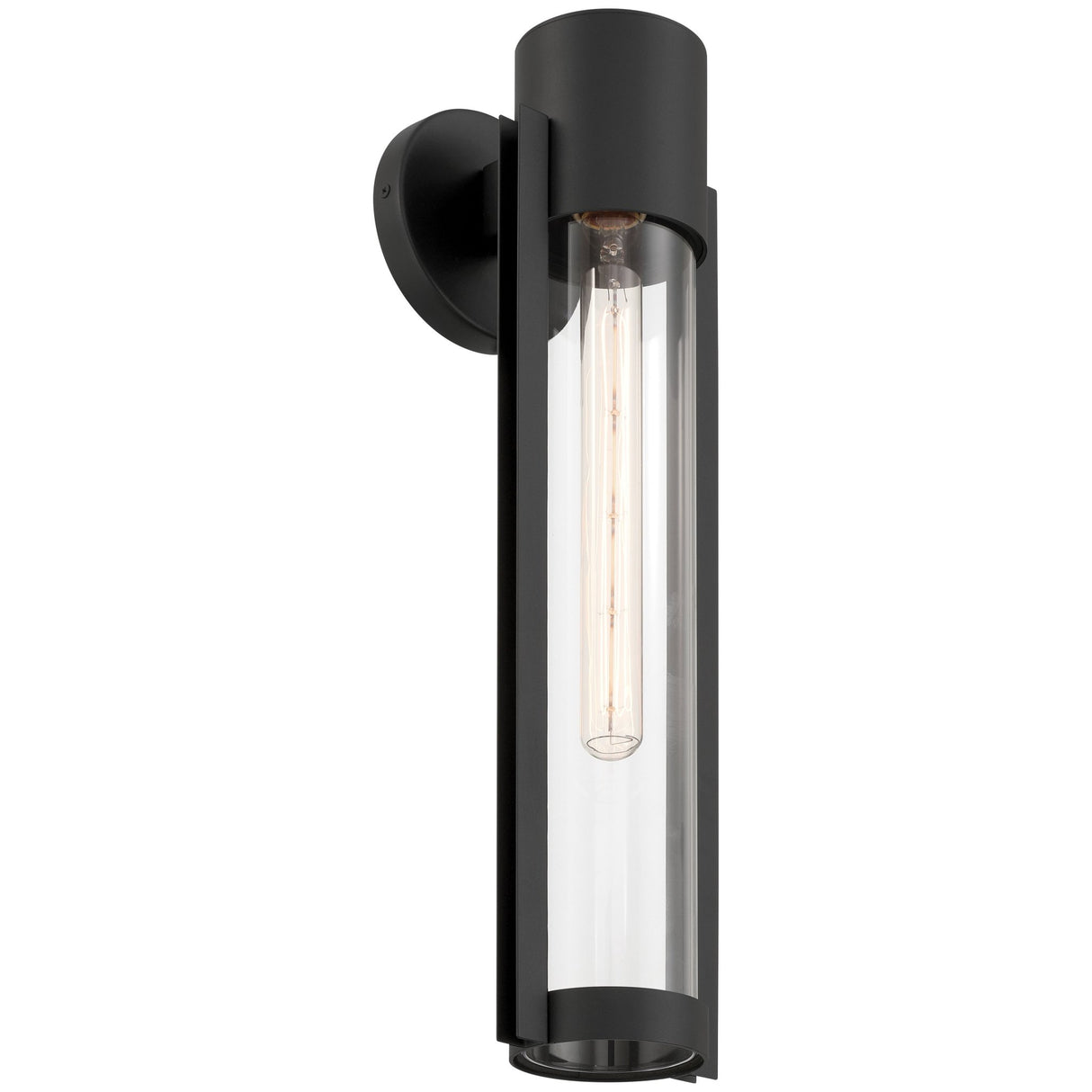 Access Lighting 20116LEDDMGLP-BL/CLR 1 light outdoor wall mount