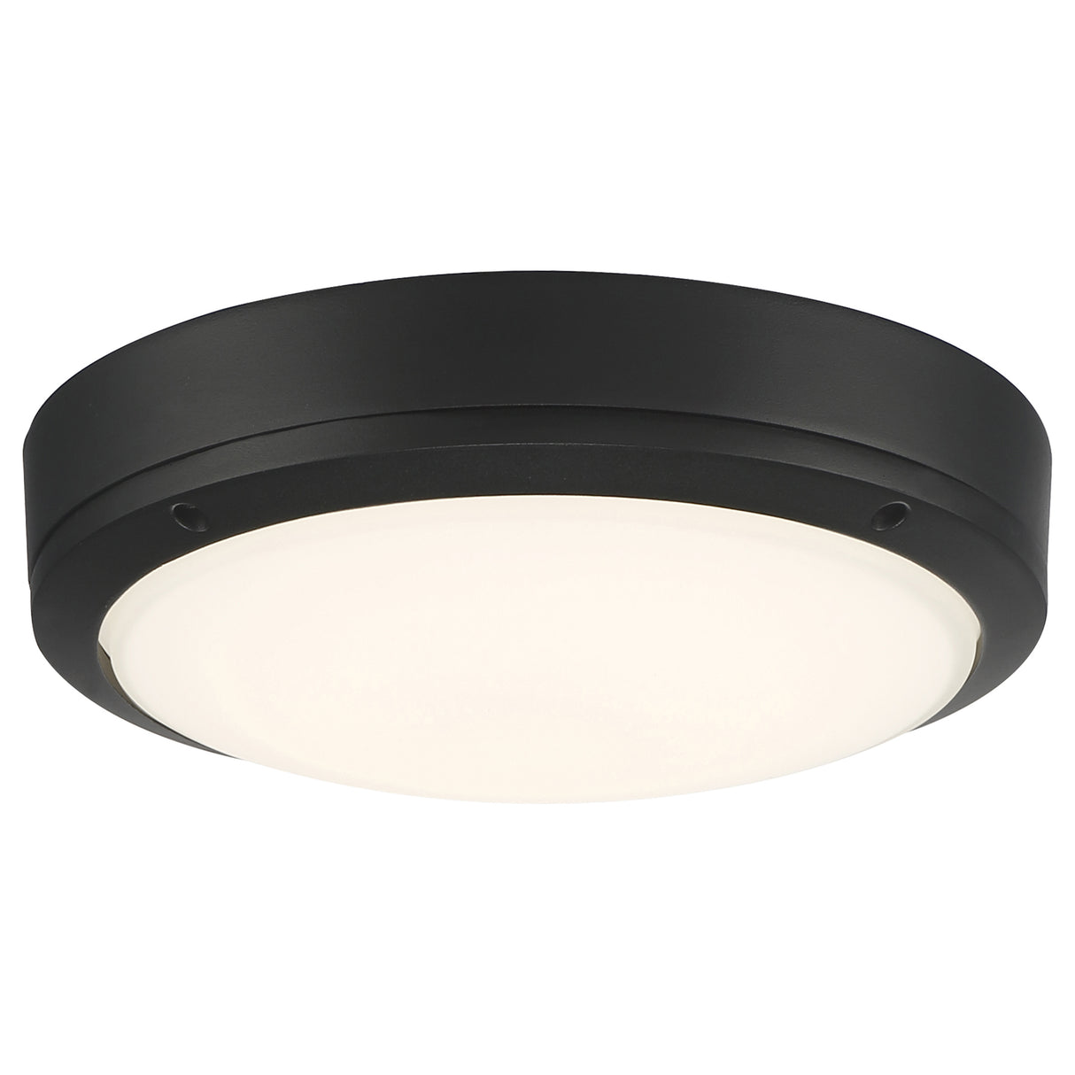 Access Lighting 20250LEDMG-MBL/FST dual voltage outdoor led flush mount