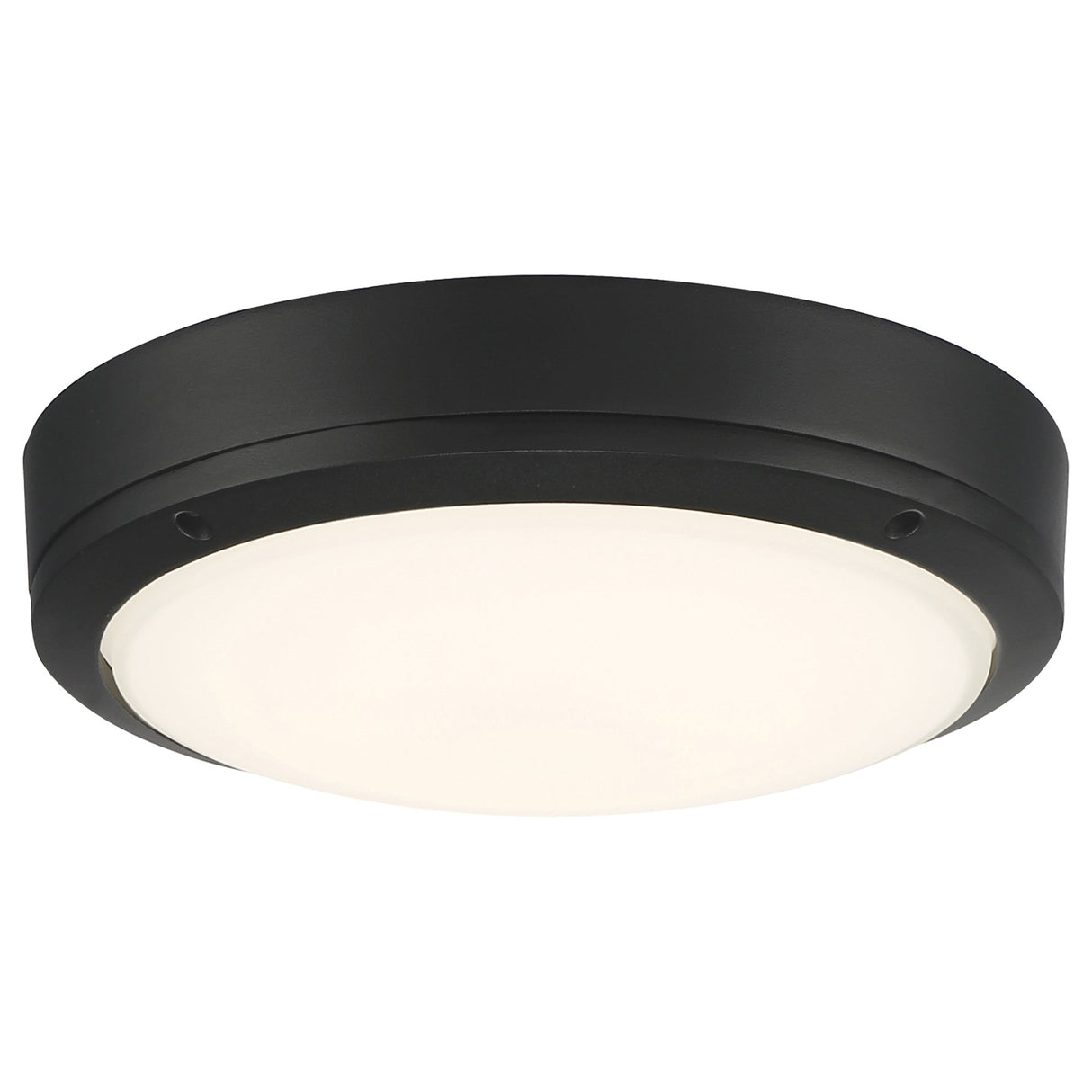 Access Lighting 20250LEDMG-MBL/FST dual voltage outdoor led flush mount