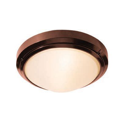 Access Lighting 20355MG-BRZ/FST bronze / frosted outdoor ceiling or wall sconce