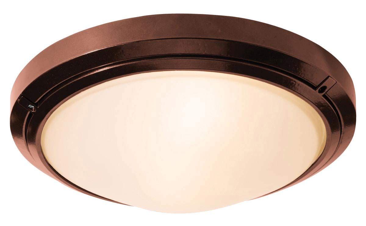 Access Lighting 20356MG-BRZ/FST bronze / frosted outdoor ceiling or wall sconce