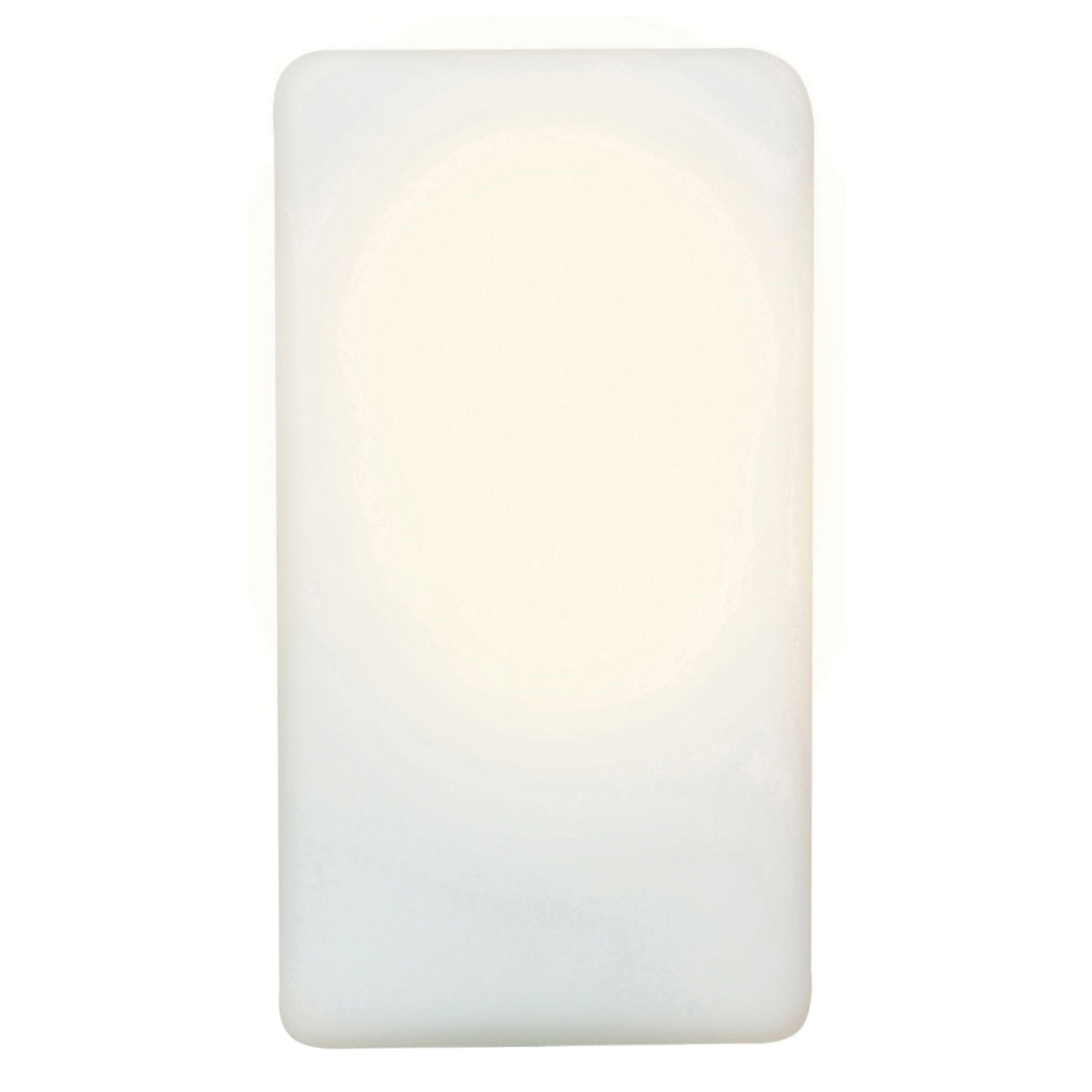 Access Lighting 20450-OPL outdoor wall sconce