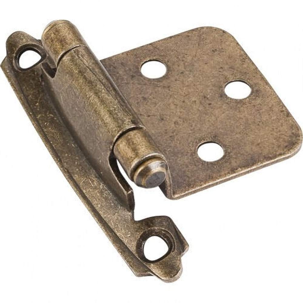 Hardware Resources H5011BB burnished brass self closing hinge