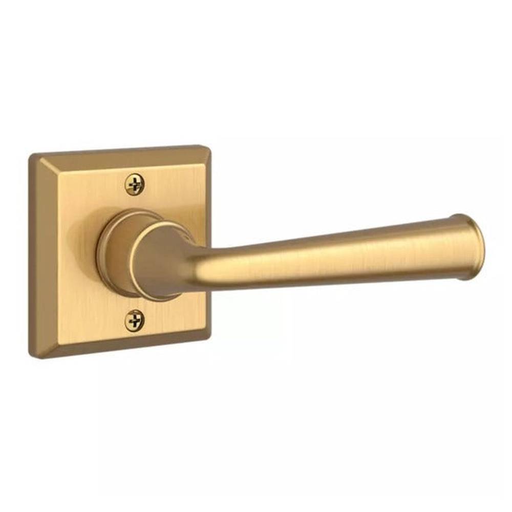 Baldwin HDFEDTSR044 satin brass single dummy