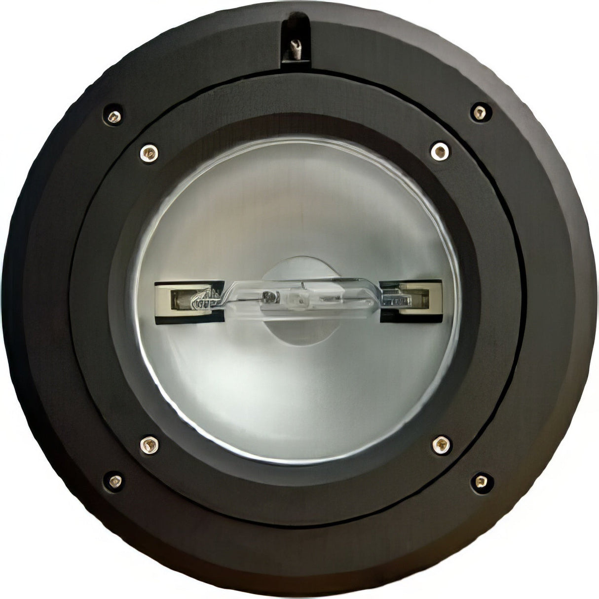 Dabmar Lighting DW4900 black in ground well light