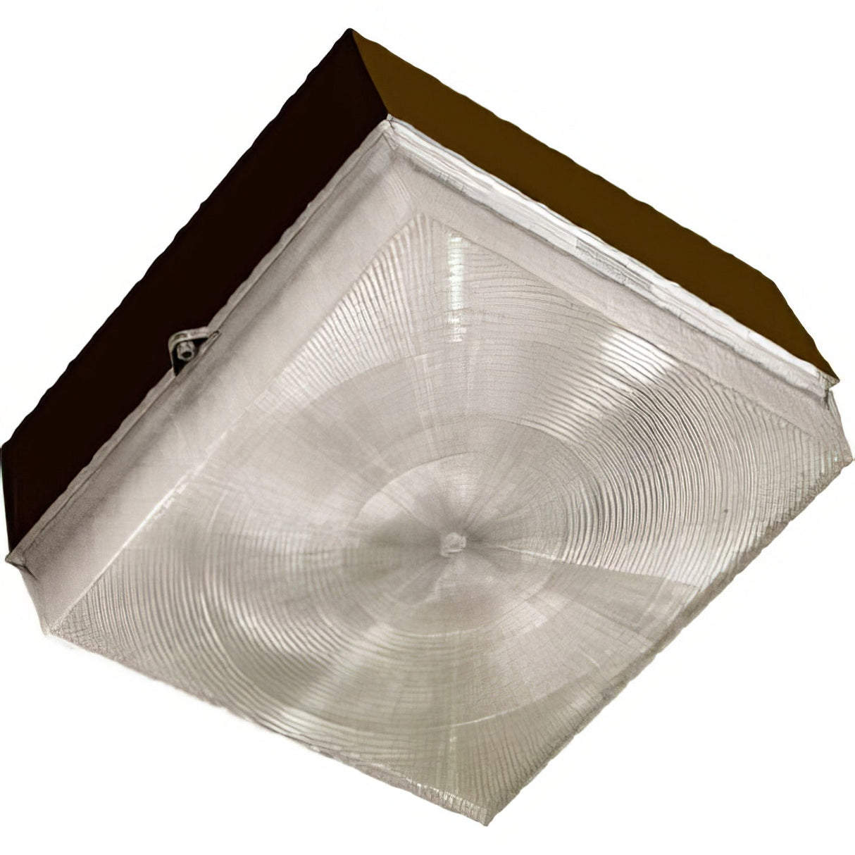Dabmar Lighting DW6601-BZ Polycarbonate Surface Mounted Ceiling Fixture Bronze