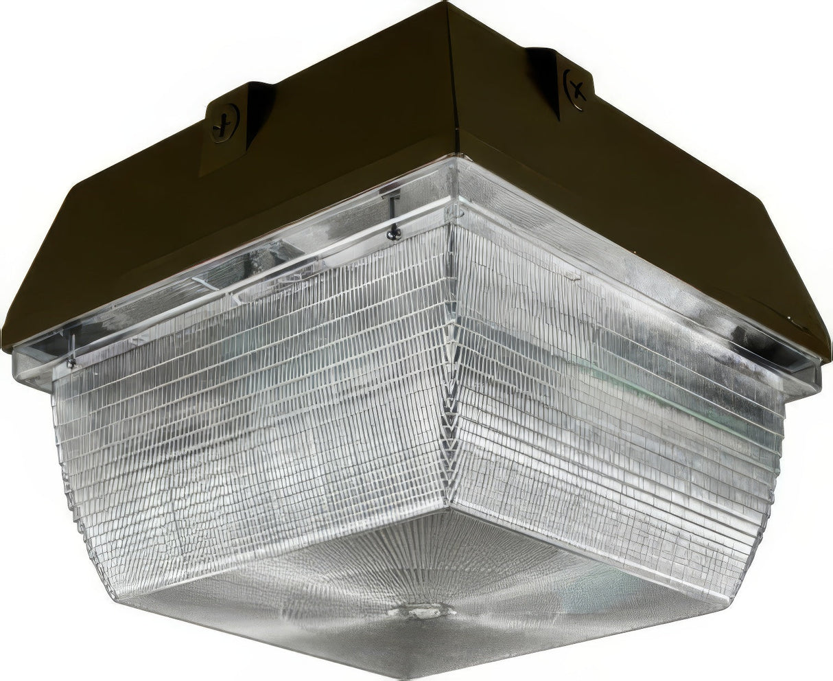 Dabmar Lighting DW8870-L20-50K-BZ bronze ceiling fixture