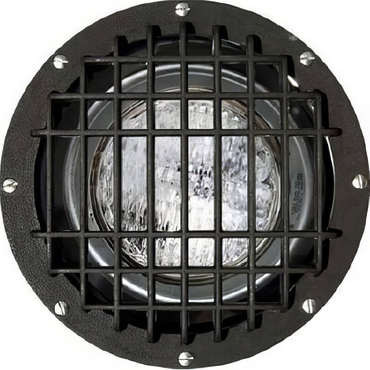 Dabmar Lighting FG4380-MED/GRL bronze in ground well light