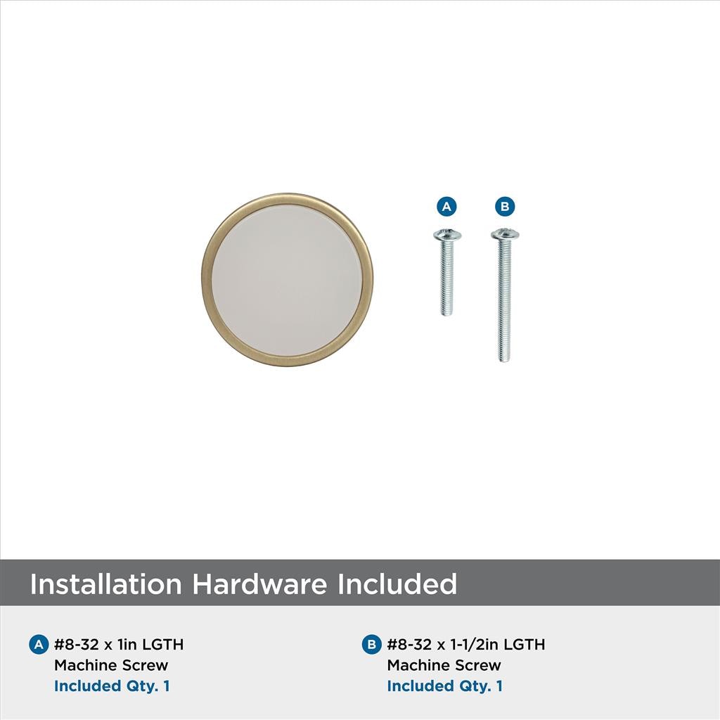 Amerock BP36608BBZFA included mounting hardware