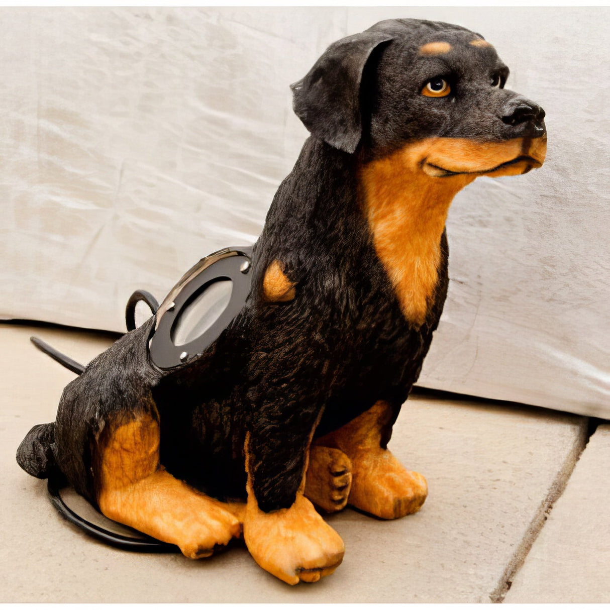Dabmar Lighting LV-DOG-BB painted resin accent light