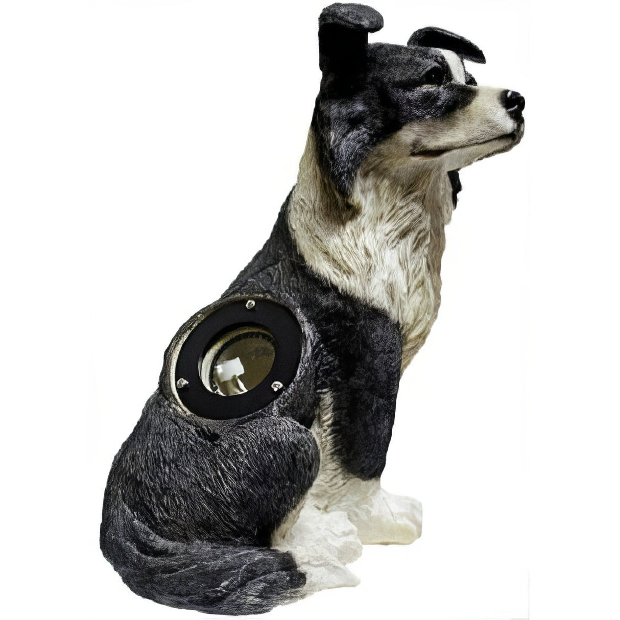 Dabmar Lighting LV-DOG-BW black/white accent light