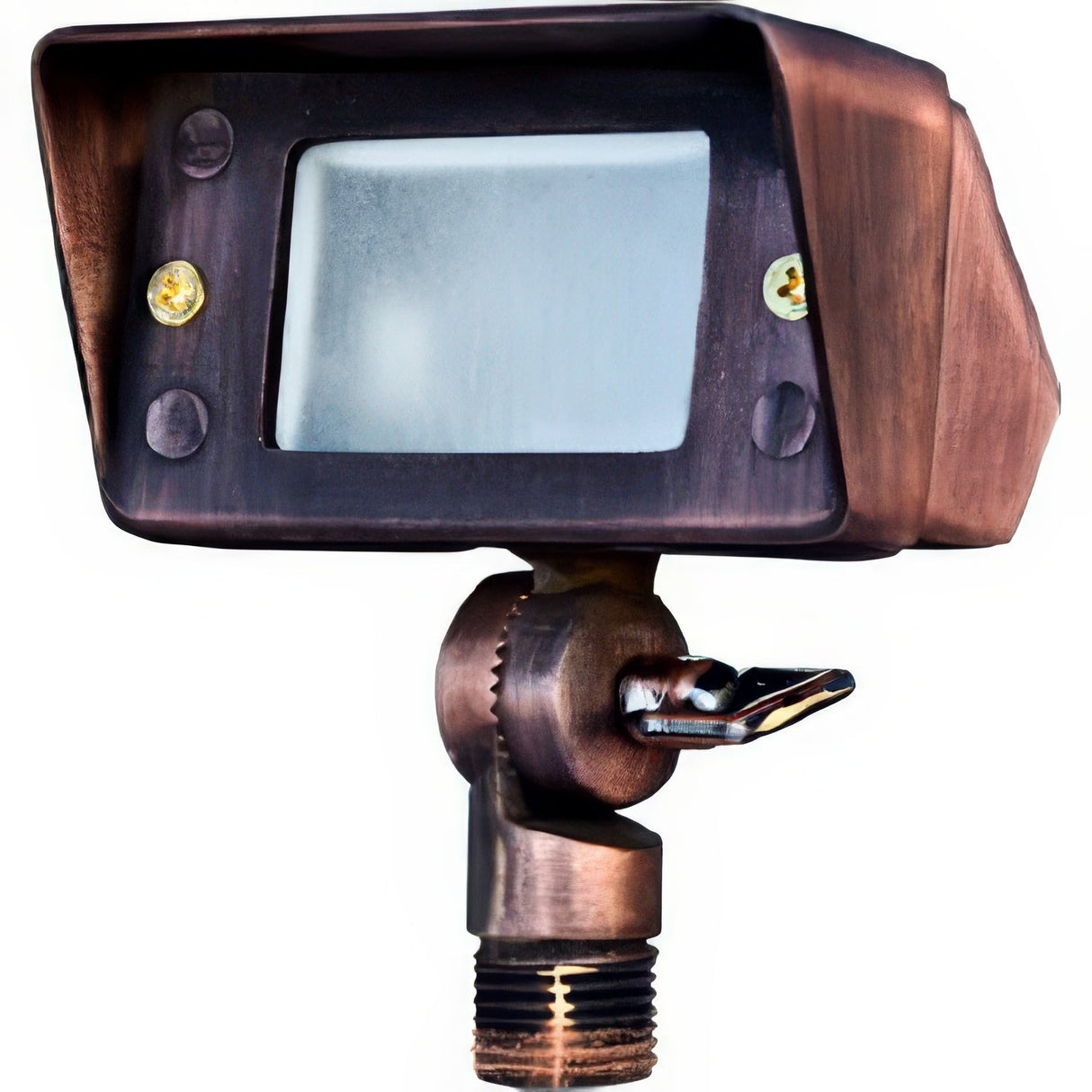Dabmar Lighting LV116-ABZ area flood light in polished brass, additional view