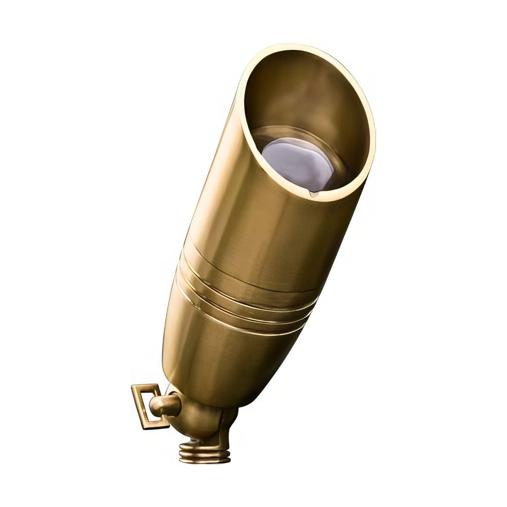Dabmar Lighting LV235-L3-65K-BS brass directional spotlight