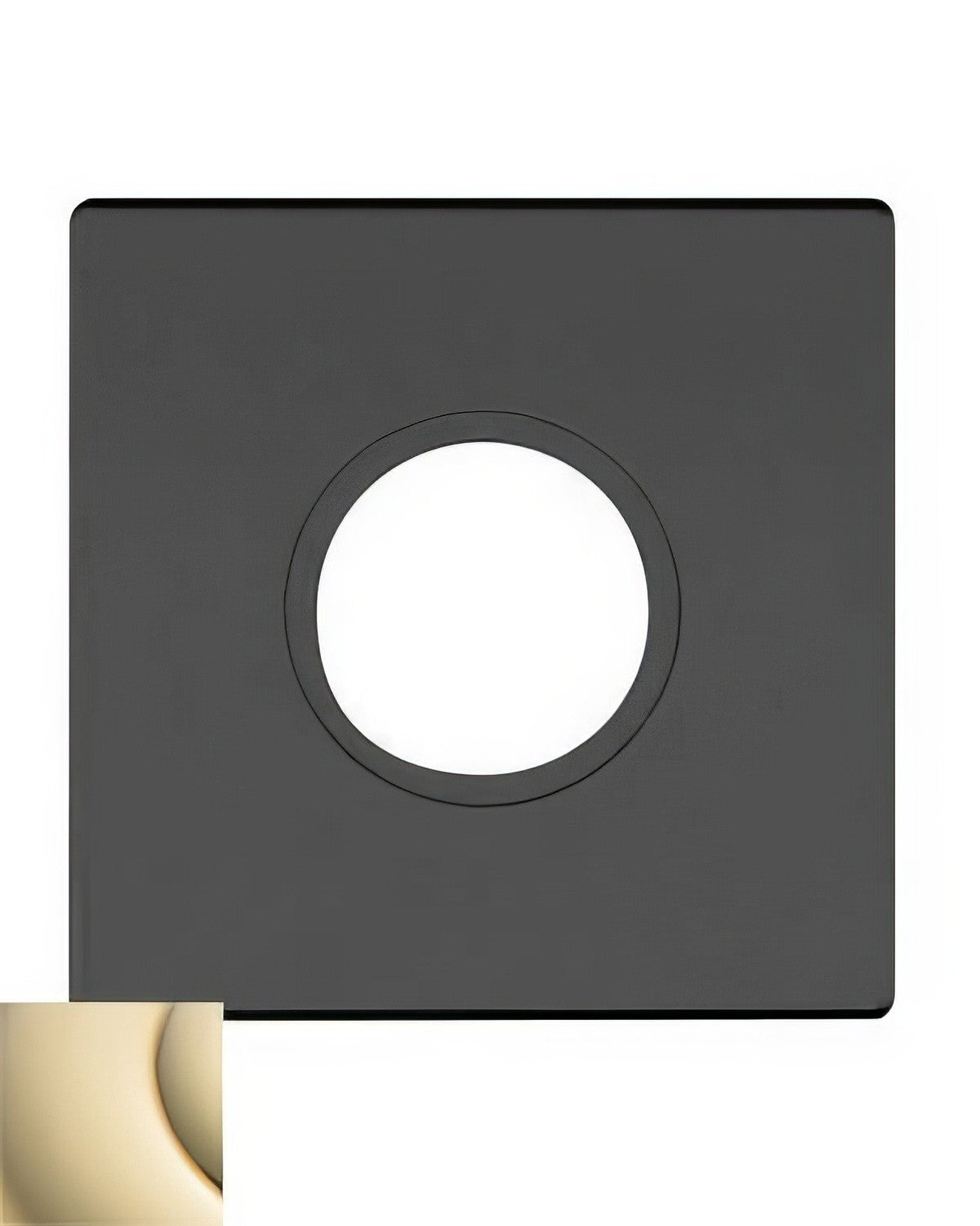 Baldwin R017003IPV lifetime polished brass rosette