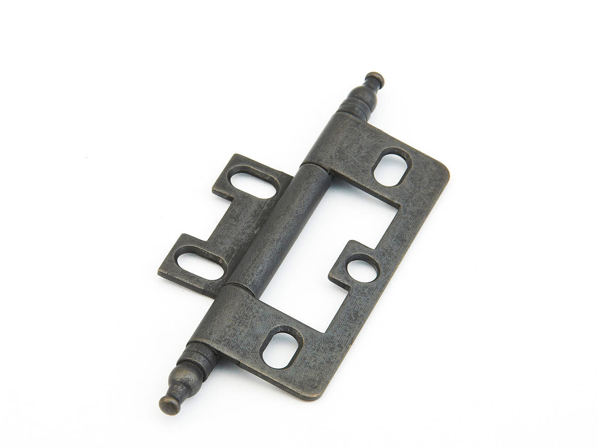 Schaub and Company 1100M-DBZ hinge in satin stainless, additional view