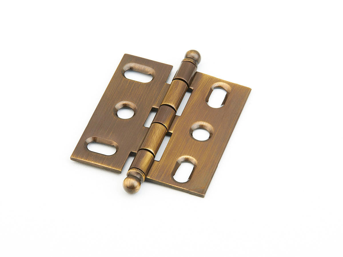 Schaub and Company 1111B-AB hinge in satin stainless, additional view
