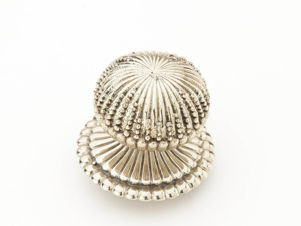 Schaub and Company 969M-WB white brass mushroom cabinet knob