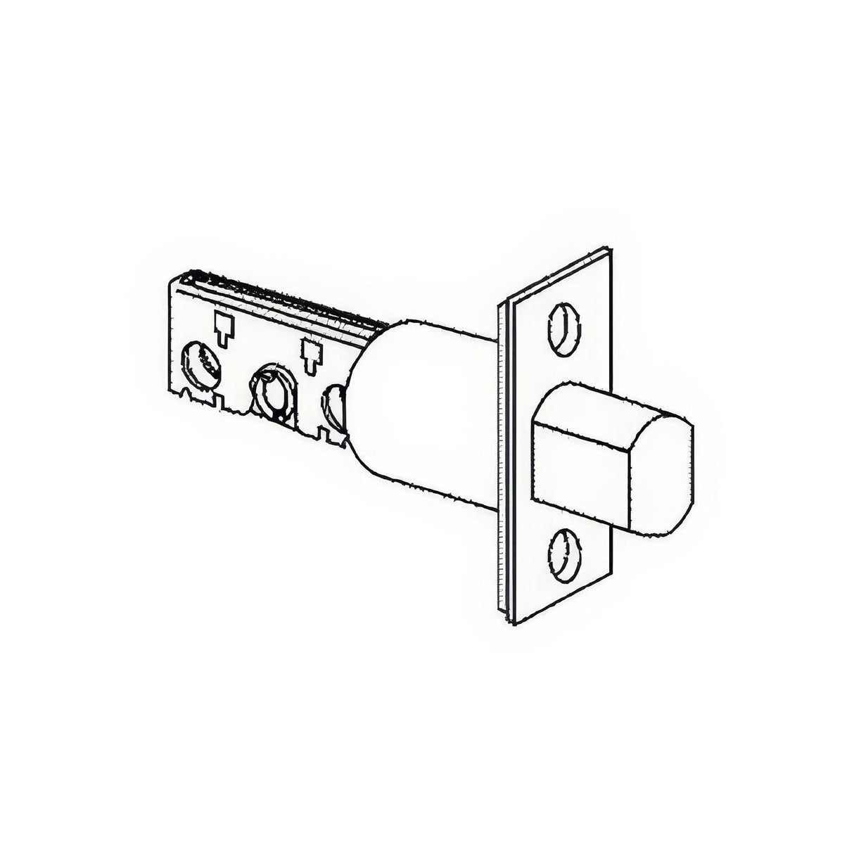 Schlage Commercial 12631605 2-3/4" Deadbolt with Square Corner 1-1/8" x 2-1/4" Faceplate Polished Brass