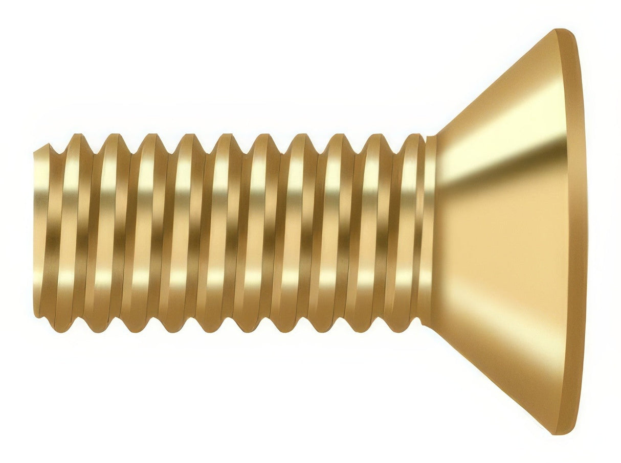 Deltana SCMB1005CR003 lifetime polished brass screw pack