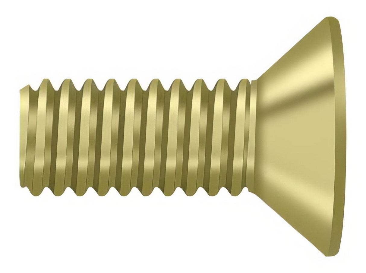 Deltana SCMB1005U3 polished brass screw pack