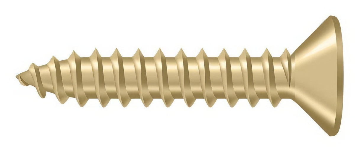 Deltana SCWB1010U4 brushed brass screw pack