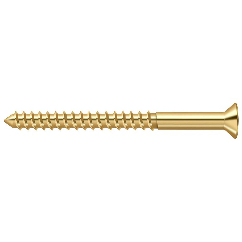 Deltana SCWB1025CR003 lifetime polished brass screw pack