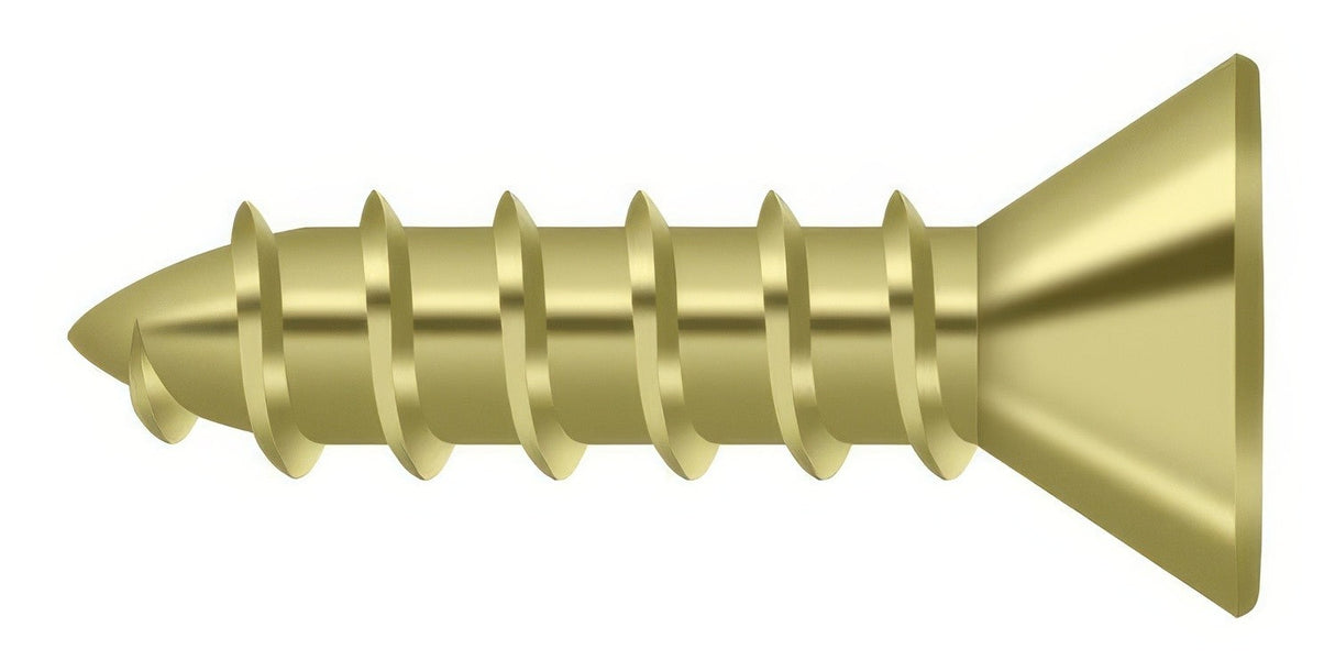 Deltana SCWS1075U3 polished brass screw pack