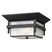 Outdoor Ceiling Lighting