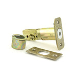 Dexter by Schlage 16068609 antique brass deadbolt latch