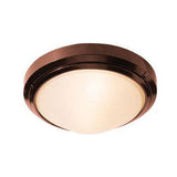 Access Lighting 20355MG-BRZ/FST bronze / frosted outdoor ceiling or wall sconce