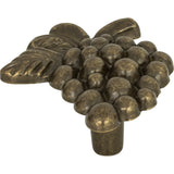 Atlas Homewares 2173-BB burnished bronze cabinet knob
