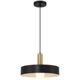 Access Lighting 23798-BWA 1 light pendant
