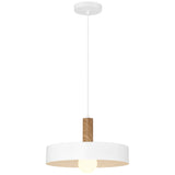 Access Lighting 23798-WH/WGN 1 light pendant