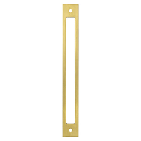 Berenson Statler 224mm Center to Center Cabinet Backplate in Modern Brushed Gold