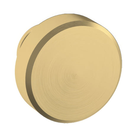 Baldwin 4411031 unlacquered brass round cabinet knob