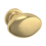 Baldwin 4910044 lifetime satin brass oval cabinet knob