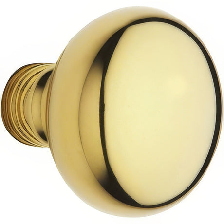 Baldwin 5000003IMR lifetime polished brass dummy door knob
