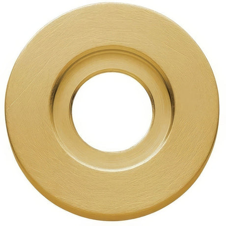Baldwin 5006044 lifetime satin brass rosette