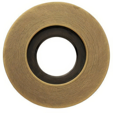 Baldwin 5006050IDM satin brass and black rosette