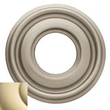 Baldwin 5010003 lifetime polished brass rosette