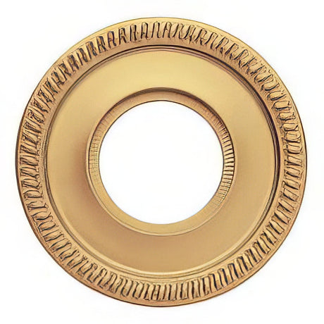 Baldwin 5035003I lifetime polished brass rosette