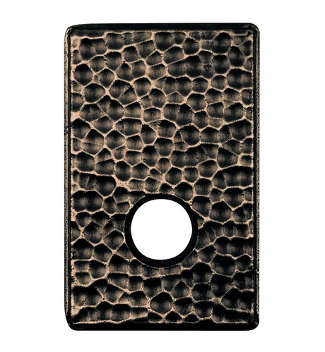 Baldwin 5042050IDM satin brass and black rosette