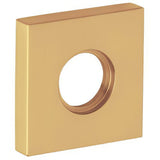Baldwin 5056033IDM vintage brass rosette