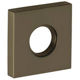 Baldwin 5056050 satin brass and black rosette