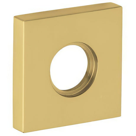 Baldwin 5056060FD satin brass and brown rosette