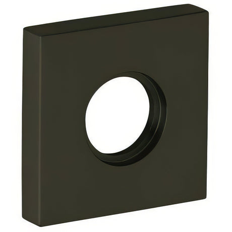Baldwin 5160190 satin black rosette