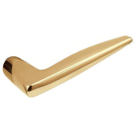 Baldwin 5166003MR lifetime polished brass dummy set