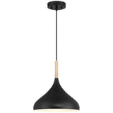 Access Lighting 52086-BL/WGN 1 light pendant